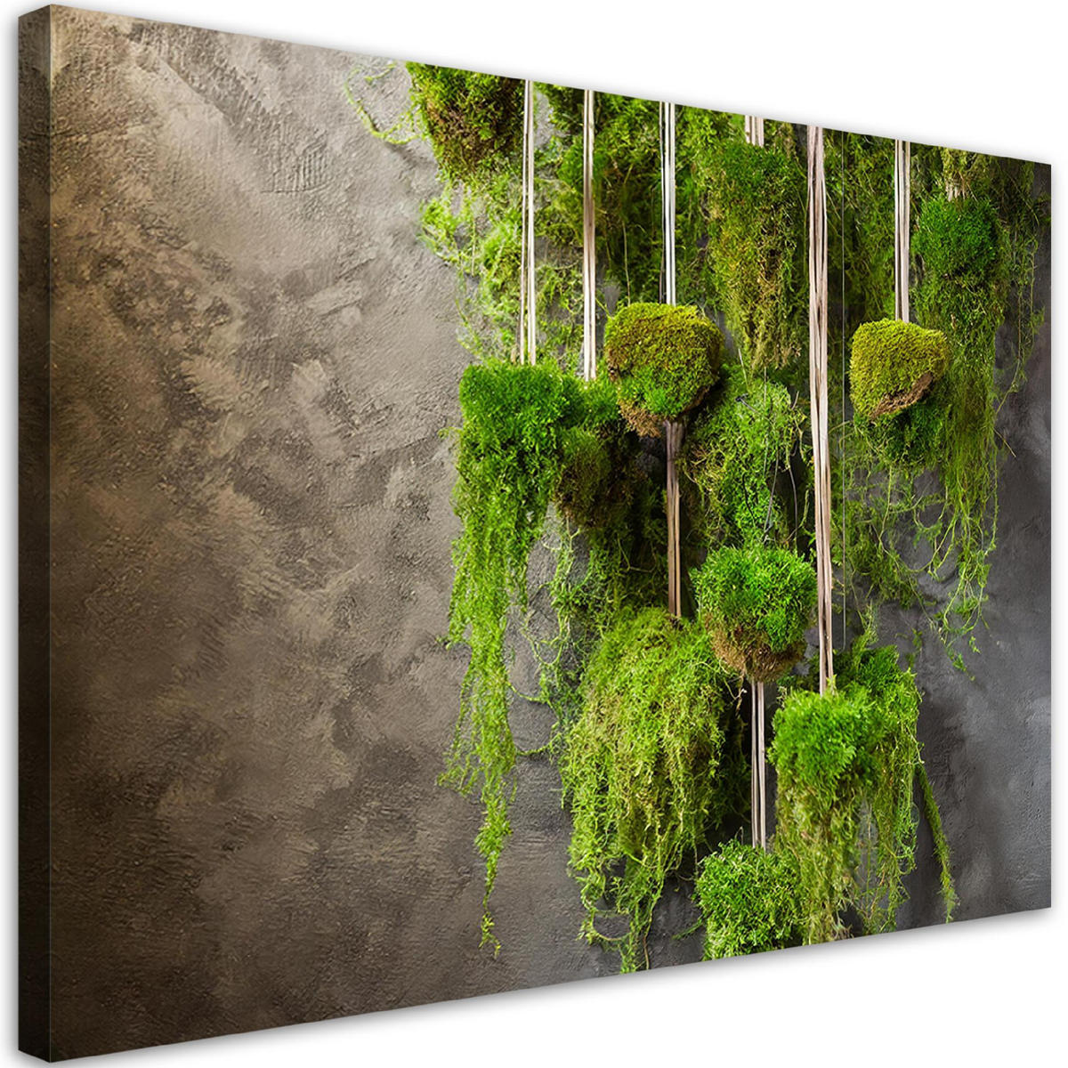 WANDBILD moospflanze botanik - Grün, Textil (60/40cm) - Feeby