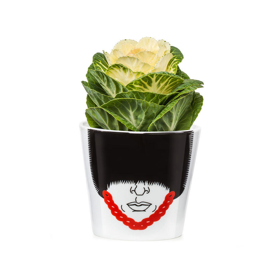 BLUMENTOPF Magic Bobby Small, Porzellan, H 10 cm - Multicolor, Keramik (10cm)