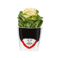 BLUMENTOPF Magic Bobby Small, Porzellan, H 10 cm - Multicolor, Keramik (10cm)