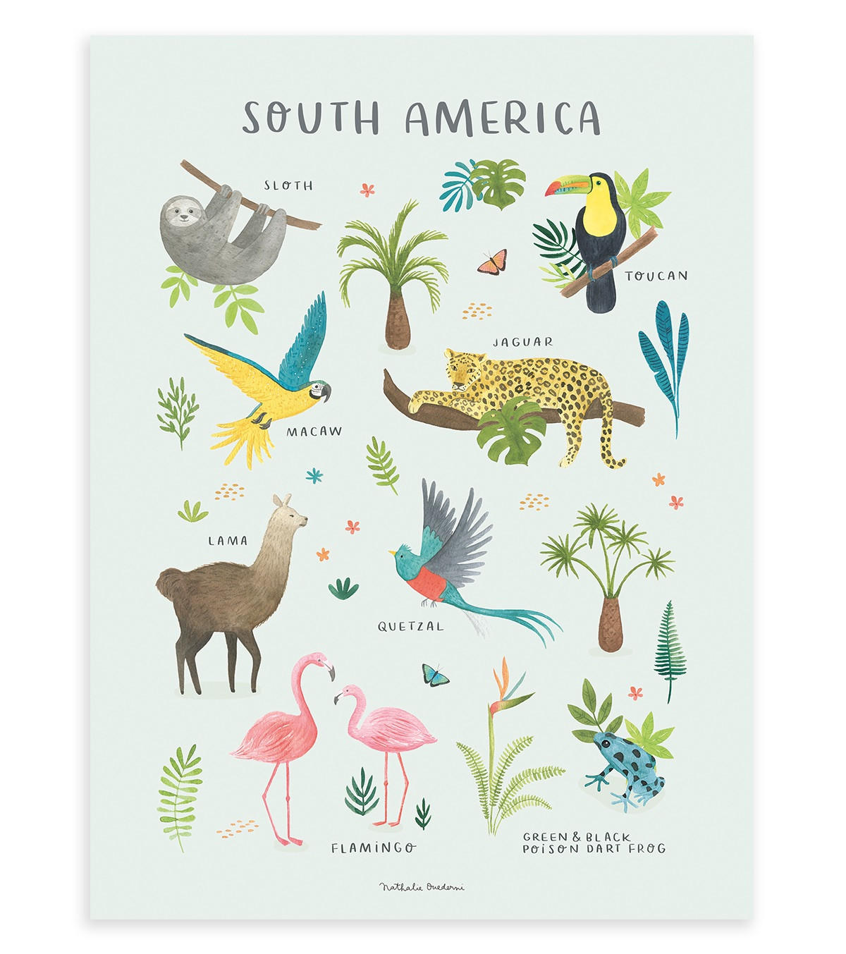 POSTER Tiere aus Südamerika, 30x40 cm - Multicolor, Papier (30/1/40cm) - Lilipinso