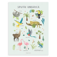 POSTER Tiere aus Südamerika, 30x40 cm - Multicolor, Papier (30/1/40cm) - Lilipinso