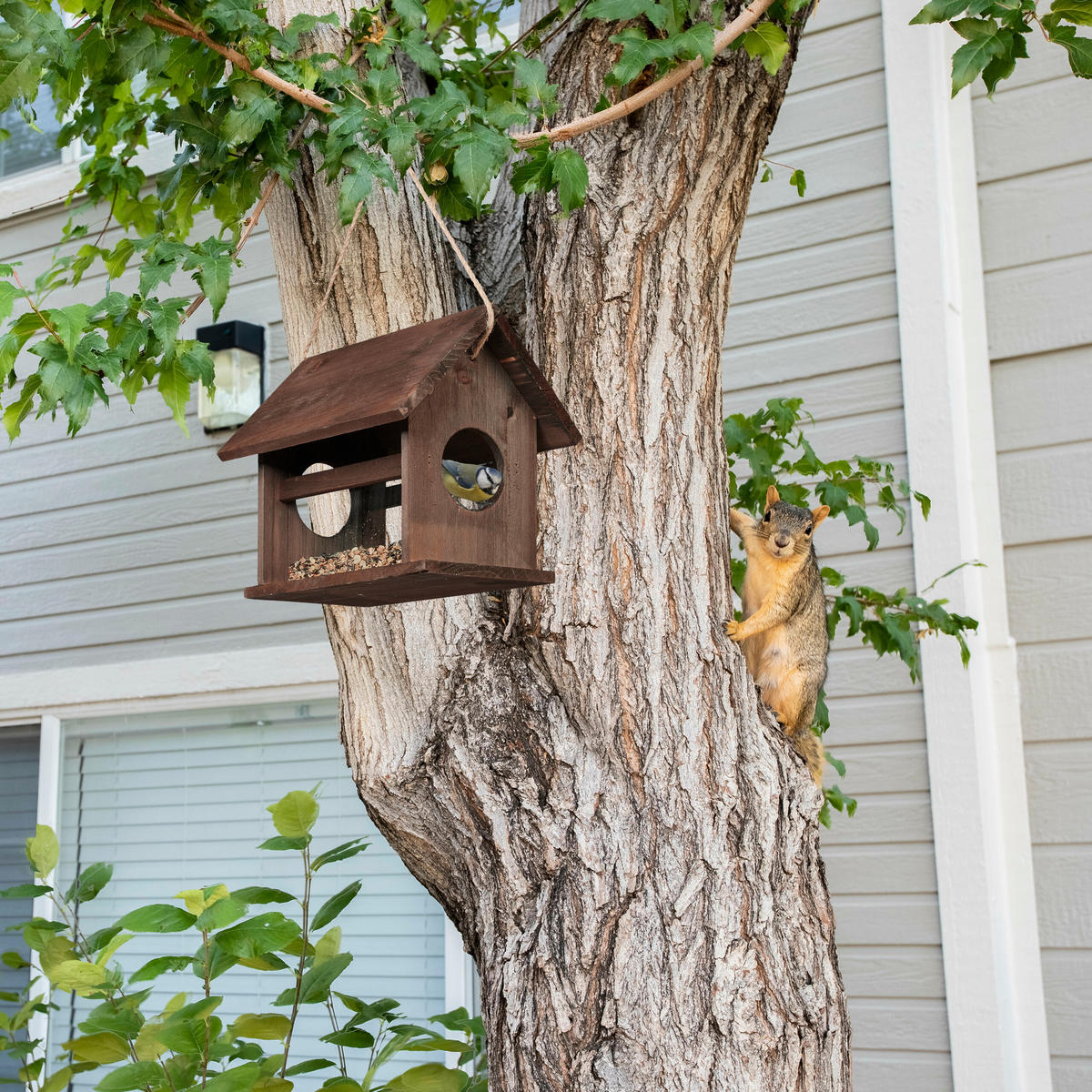 VOGELFUTTERHAUS - Braun, Holz/Kunststoff (30/24/21cm) - Relaxdays