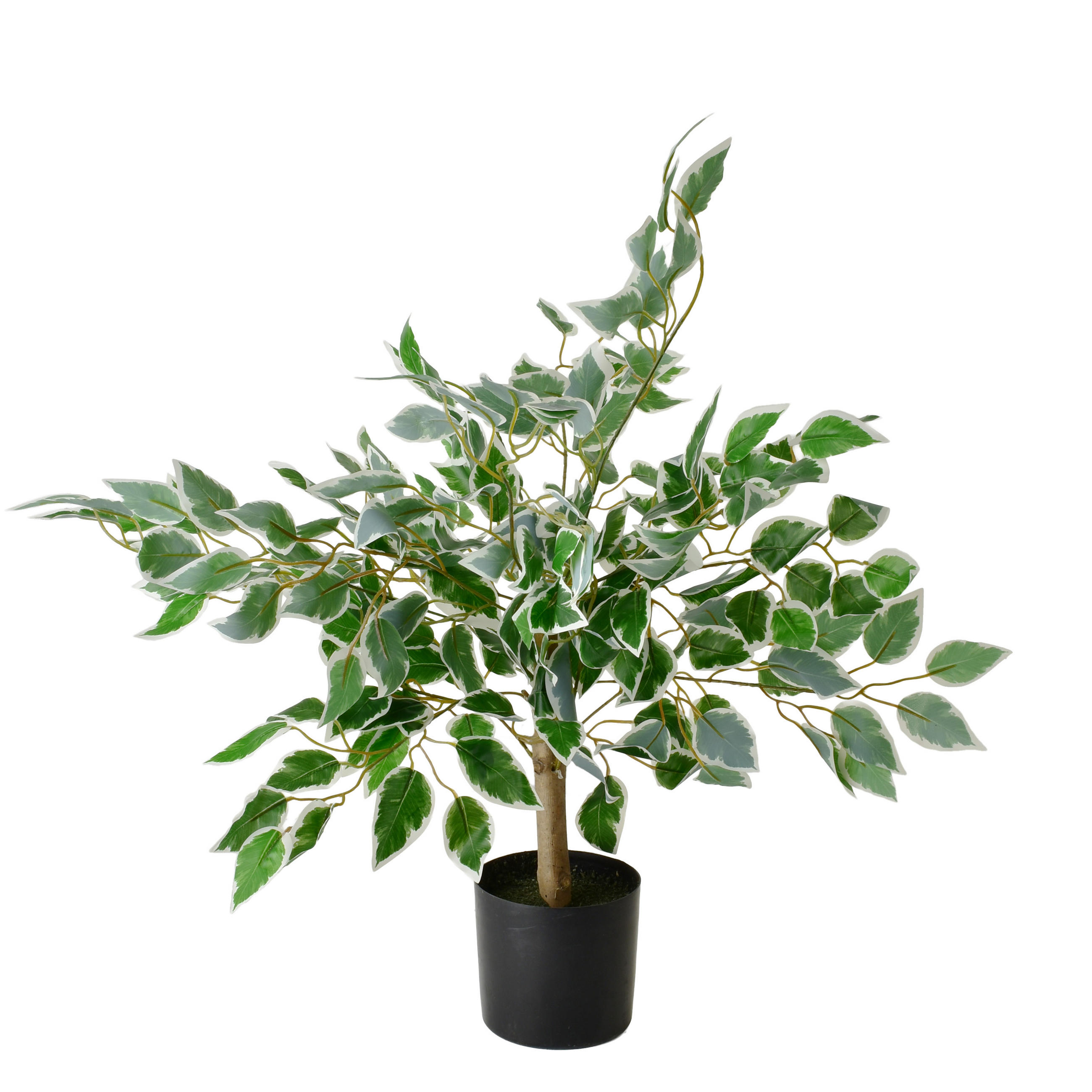 KUNSTBLUME Viridis Grün 13x12x65 cm Kunststoff - Grün, Kunststoff (65cm) - Mondex