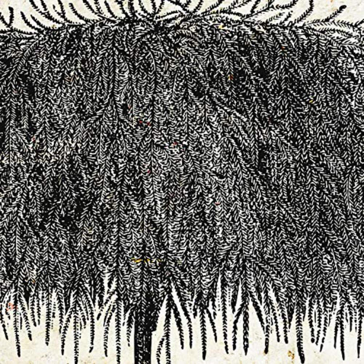 POSTER Set mit 4 Blättern der Bäume in Alten Papierhintergrund Jahrgang 20x20cm Rahmenlos - Klar, Papier (20/3cm) - Nacnic