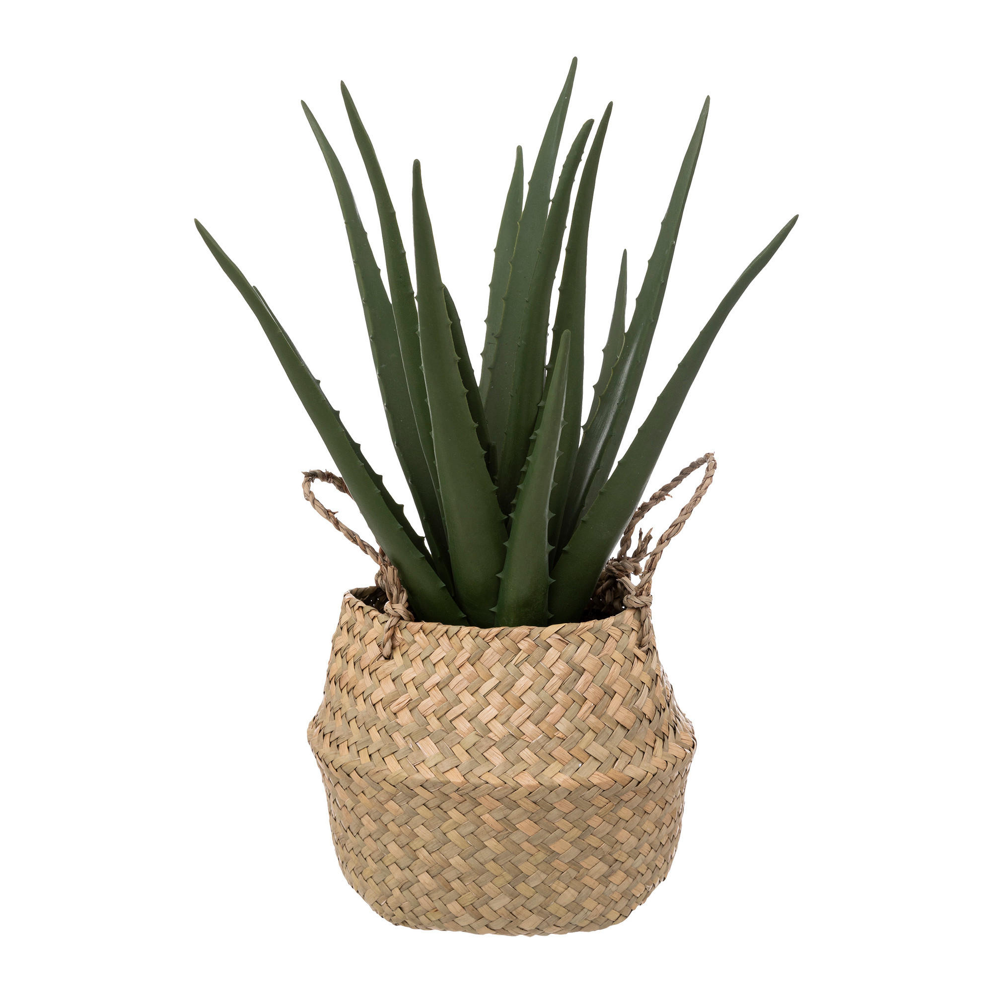 KUNSTPFLANZE im Korb Aloe 24/24/37 cm - Beige, Kunststoff (37cm) - Atmosphera Createur d´interieur