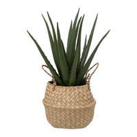 KUNSTPFLANZE im Korb Aloe 24/24/37 cm - Beige, Kunststoff (37cm) - Atmosphera Createur d´interieur