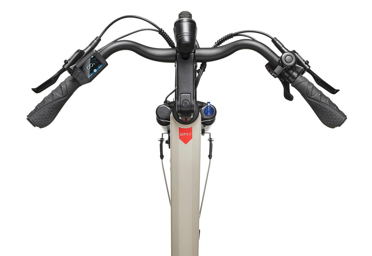 E-BIKE Cityrad RC680 Elektrofahrrad 28 Zoll Mittelmotor 10-Gang Kettenschaltung 705,6 Wh Pedelec - Grau, Metall (115cm) - Telefunken