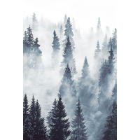FOTOTAPETE nebliger Wald 186 x 279 cm - Grün, Papier (186/279cm) - ESTAhome