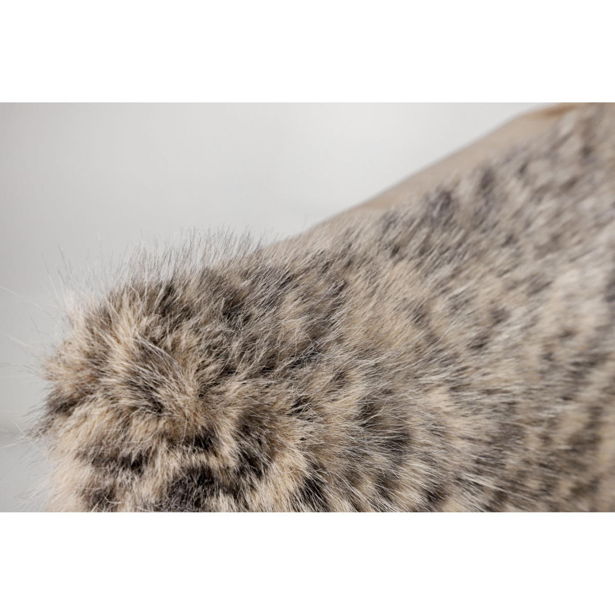 ZIERKISSENHÜLLE LEO - Braun, Textil (50/50cm) - Sportalm Kitzbühel