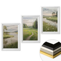WANDBILDER 3er-Set - 40x60 cm Weißer Rahmen - Sommerliche Flusswiesen voller Blumen - Weiß, Kunststoff (40/60cm) - ArtPrintCave