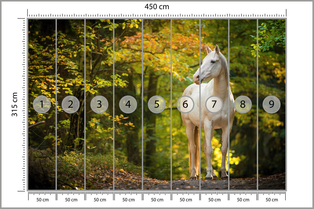 FOTOTAPETE für Schlafzimmer Weißes Pferd Wald Bäume Blätter 450x315 - Gelb/Beige, Papier (450/315cm) - Muralo