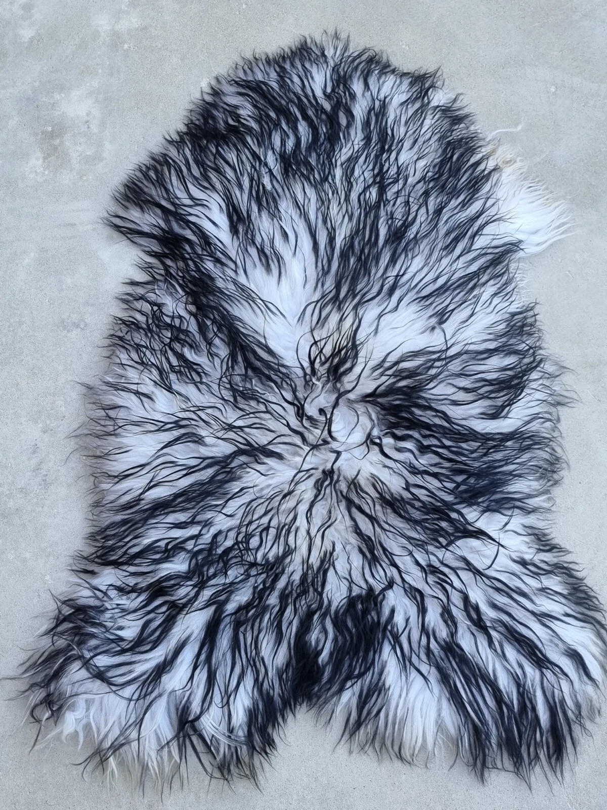 LAMMFELL Island Langhaar natur lockig weich Premium Schwarz geflammt ca. 105 cm - Schwarz Hochglanz, Fell (55/105cm) - Provellus