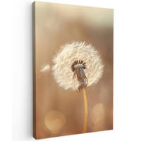 LEINWANDBILD Löwenzahn - Beige - Natur - Blume 90x140 cm - Hellbraun, Textil (90/140cm) - MuchoWow