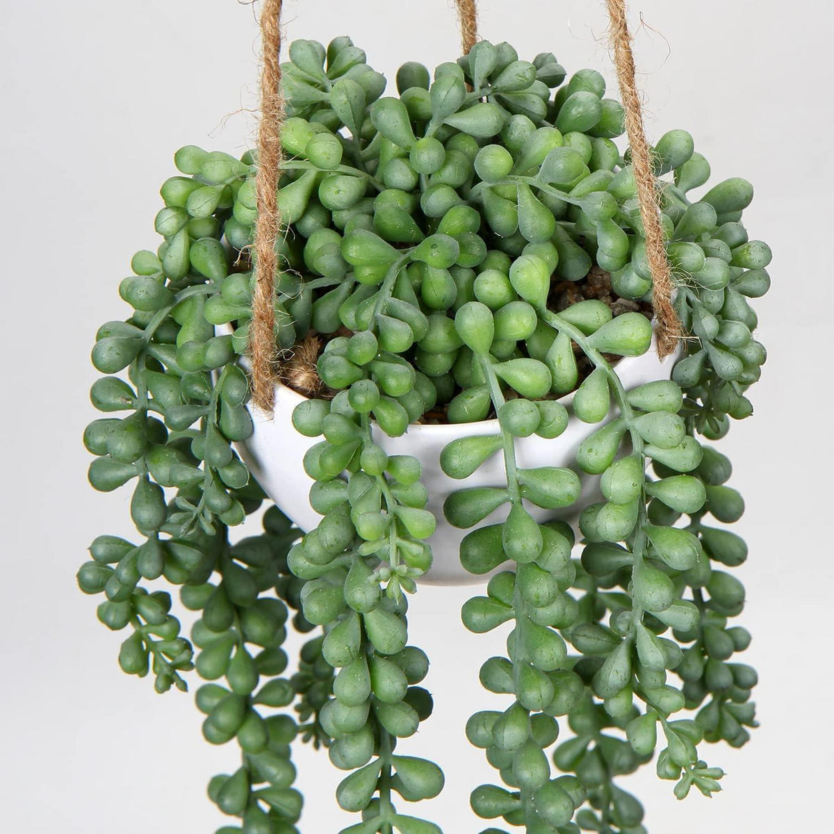 HÄNGEPFLANZE Senecio künstlich in Hängeampel 35.5 cm - Grün, Kunststoff (35cm)