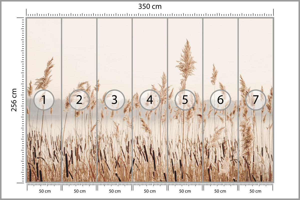 FOTOTAPETE für Wohnzimmer Pflanzen Natur 350x256 - Beige/Braun, Papier (350/256cm) - Muralo