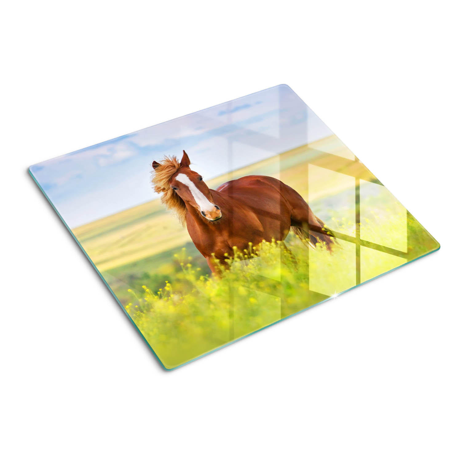 GLASPLATTE 60x52 cm Braunes Pferd - Limette, Glas (60/52cm) - TULUP
