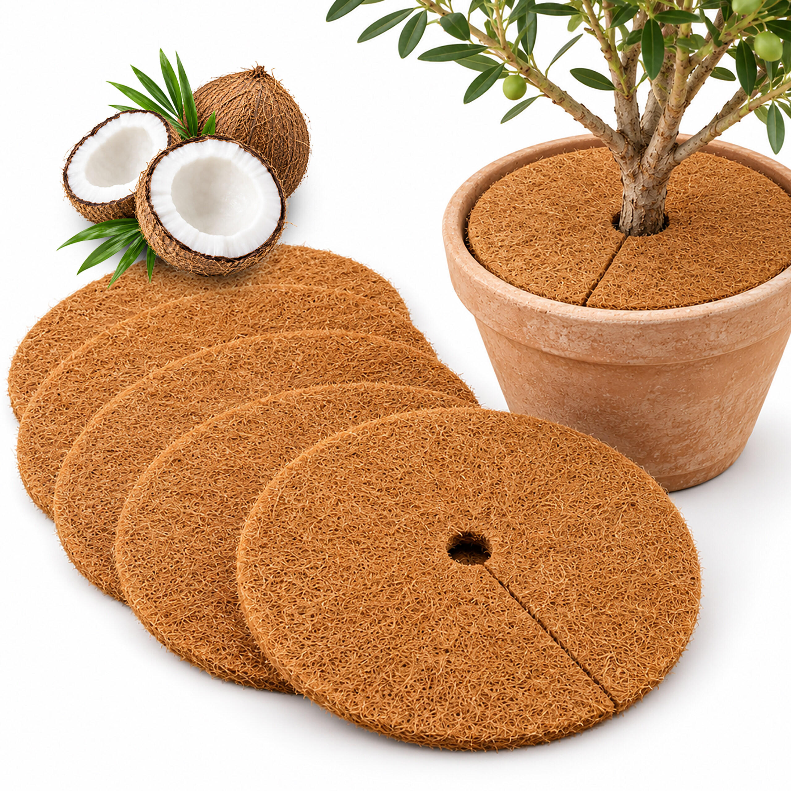 PODLOGA Naravna 5-delni-set kokos okrogla zimska zaščita 10 mm - svetlo rjava, tekstil (30/1/30cm) - Relaxdays