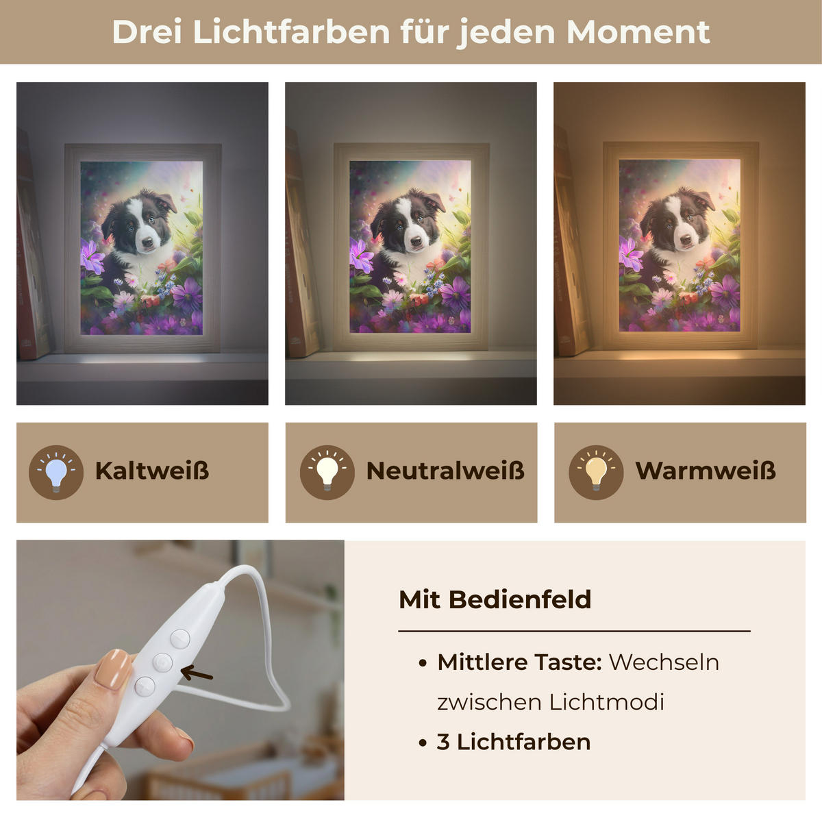 NACHTTISCHLAMPE Welpe - Sonne - Blumen - Natur - Border Collie - Hund 15x20 cm - Violett, Holzwerkstoff (8/15/20cm)