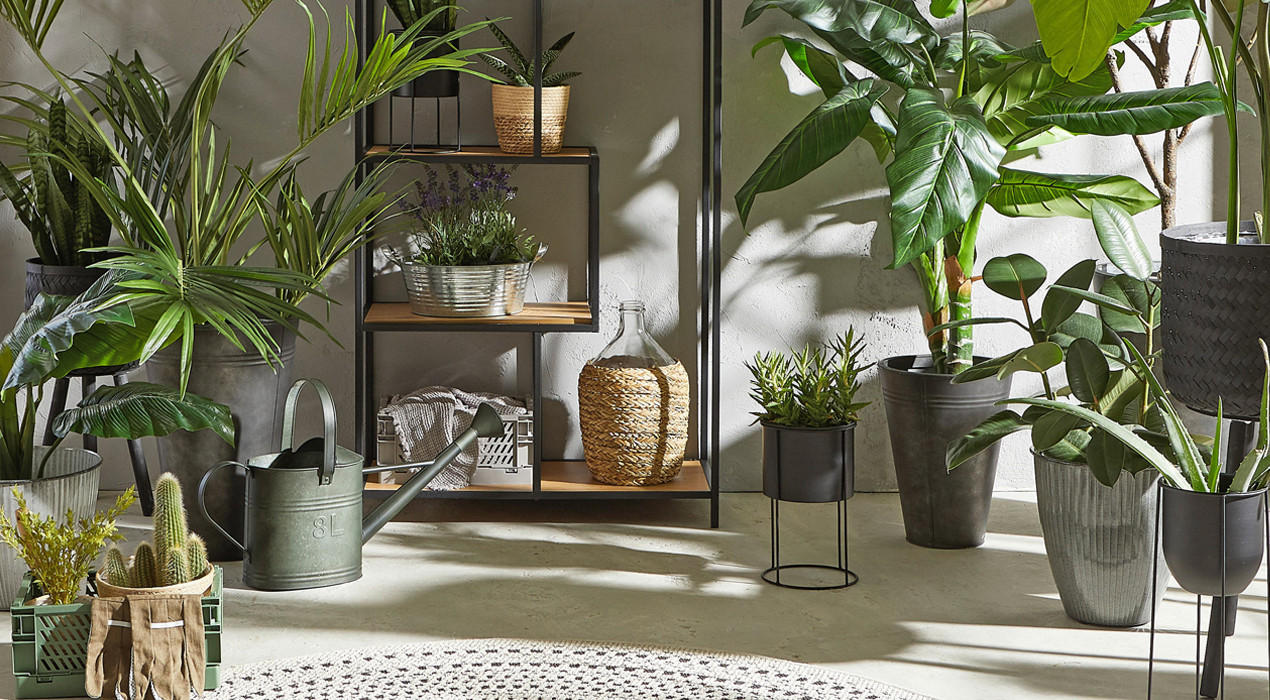 Boho-Terrasse: Pflanzen als wichtiges Element des Boho-Styles