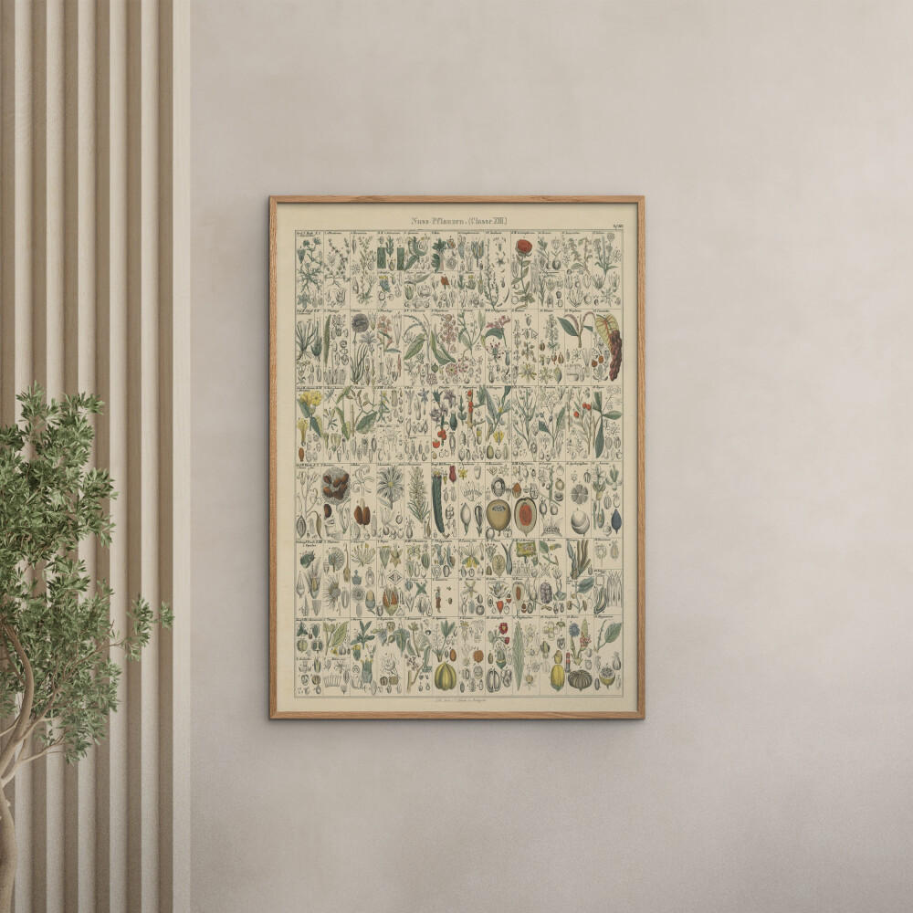 POSTER mit Rahmen Wild Apple - Flora Chart II - Eichefarben/Grün, Holz/Papier (50/70cm) - Poster&Frame