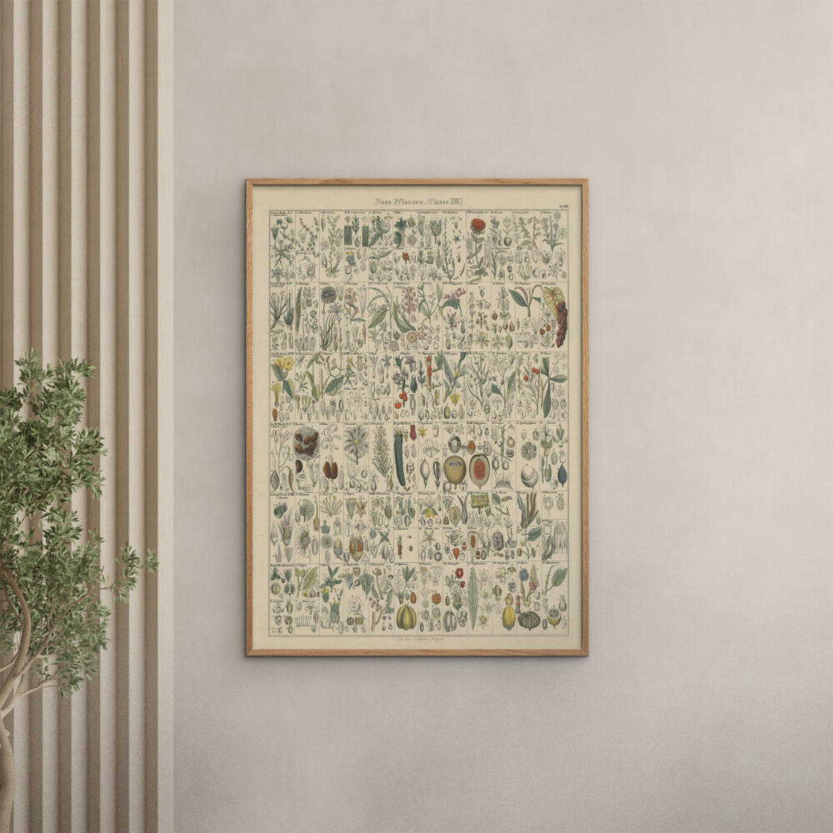 POSTER mit Rahmen Wild Apple - Flora Chart II - Eichefarben/Grün, Holz/Papier (50/70cm) - Poster&Frame