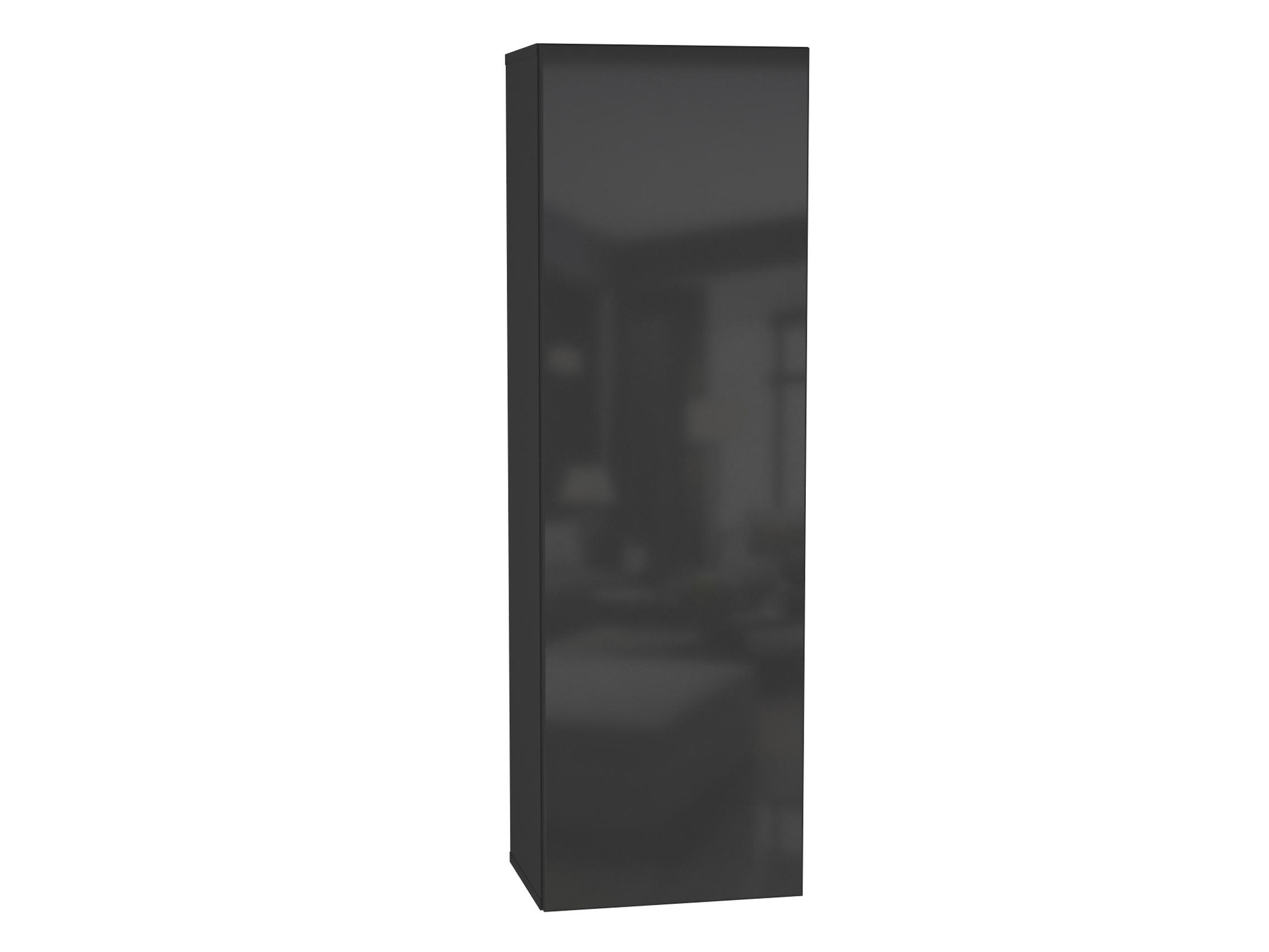 HÄNGESCHRANK Schwarz, Schwarz Hochglanz 40/126/29 - Schwarz Hochglanz/Schwarz, Holzwerkstoff (40/126/29cm) - RAUMHIRSCH FURNITURE