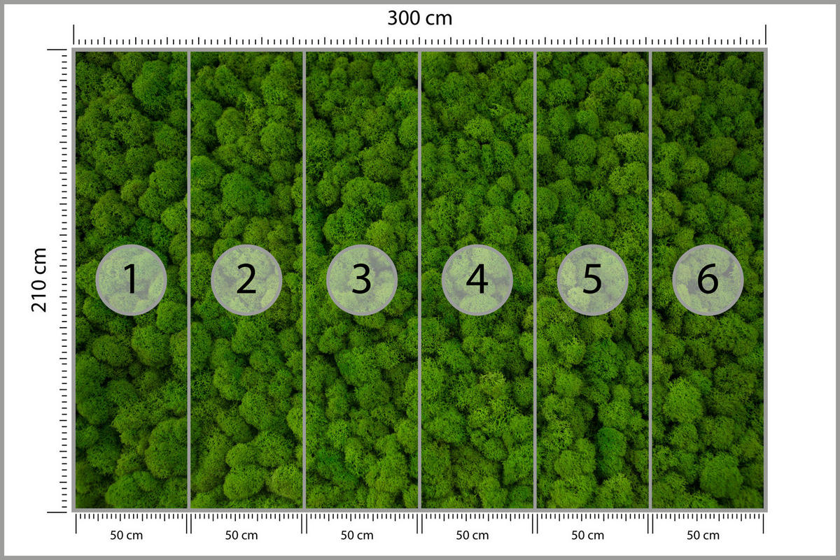 FOTOTAPETA Pre Študentskú Izbu Dekoratívny Zelený Mach Moderná 300 x 210 cm - zelená, papier (300/210cm) - Muralo