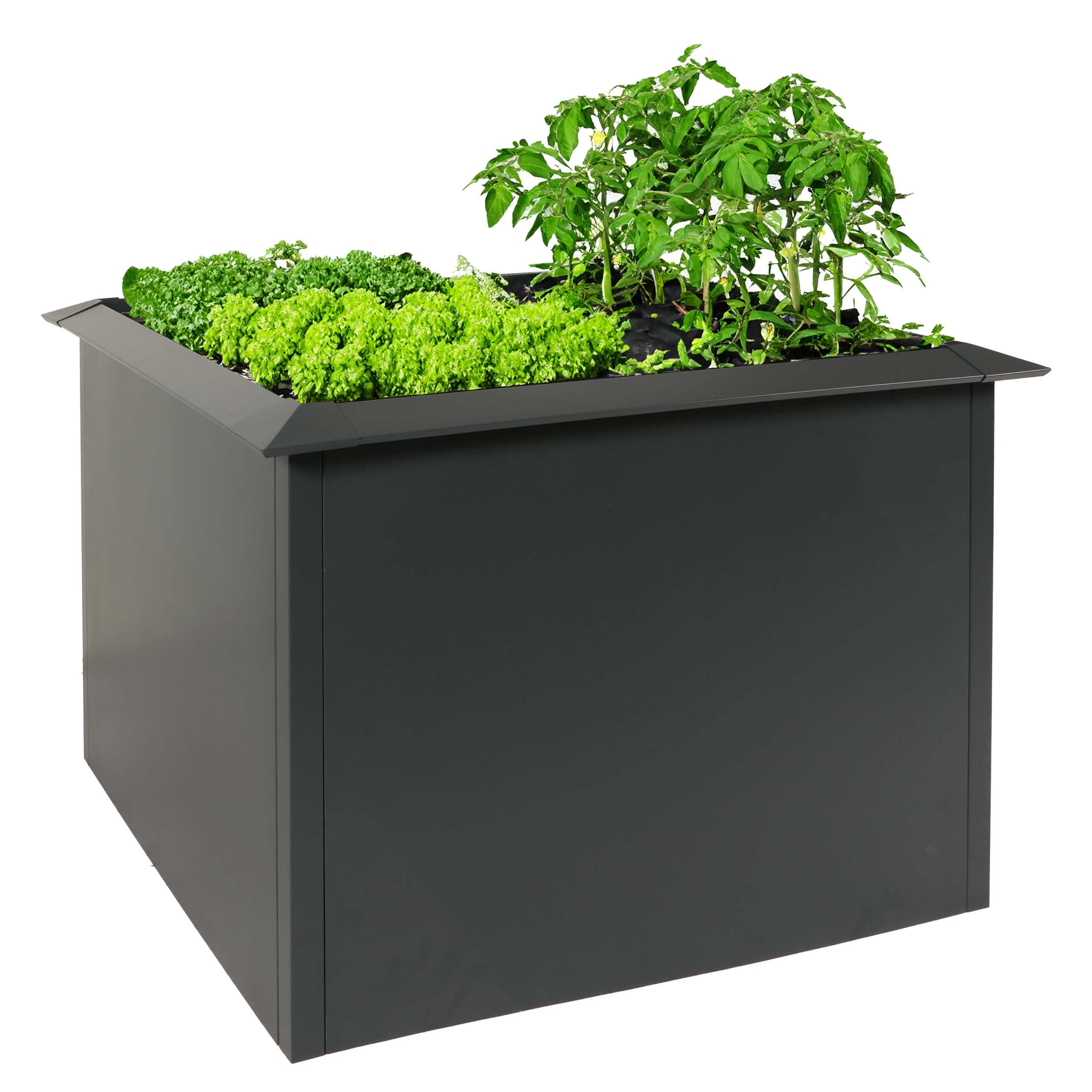 HOCHBEET Schneckenkante 78x110x110cm Anthrazit - Anthrazit, Metall (110/78/110cm) - PROREGAL