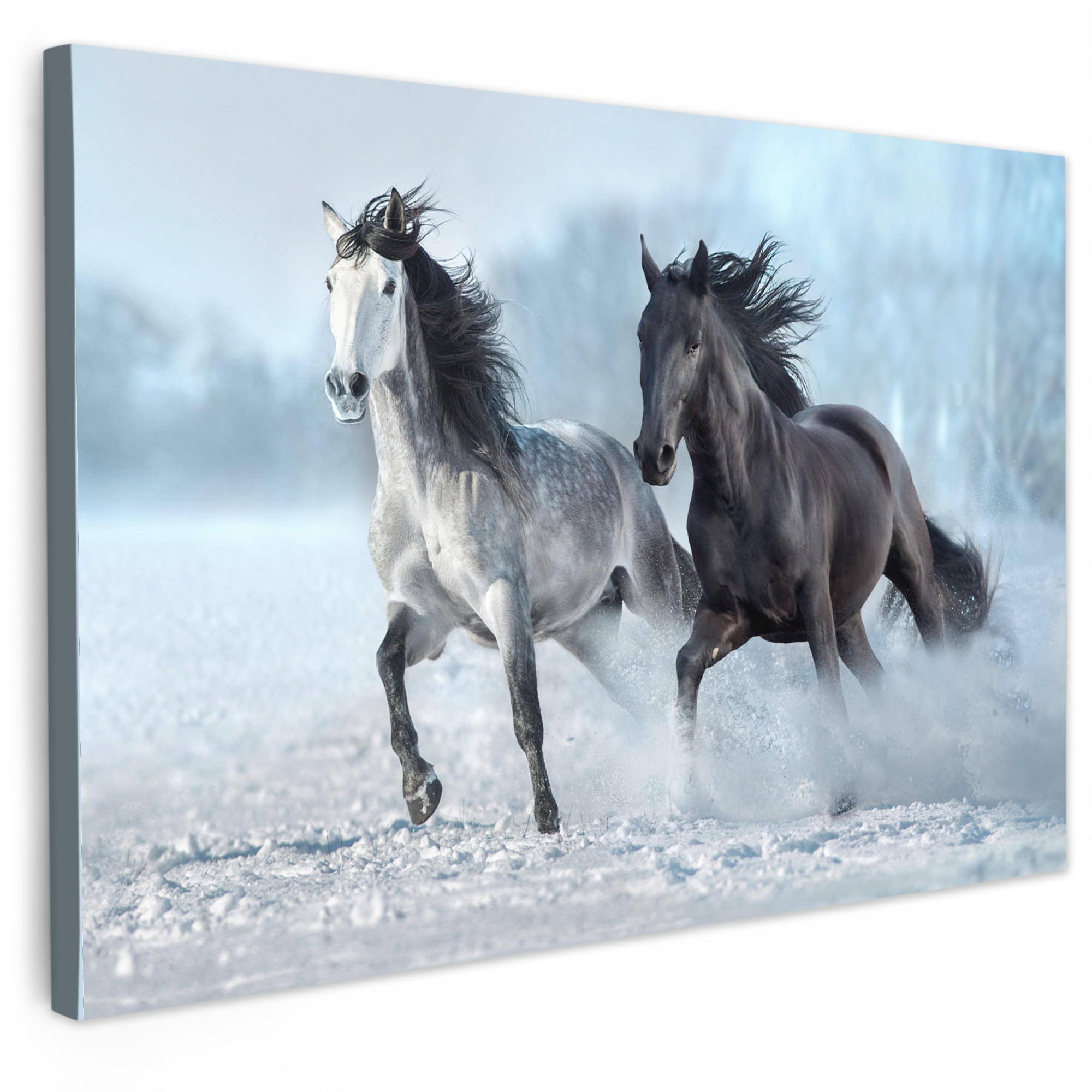 MuchoWow OBRAZ NA PLÁTNĚ Koně - Zima - Zvířata - Příroda - Sníh 60x40 cm