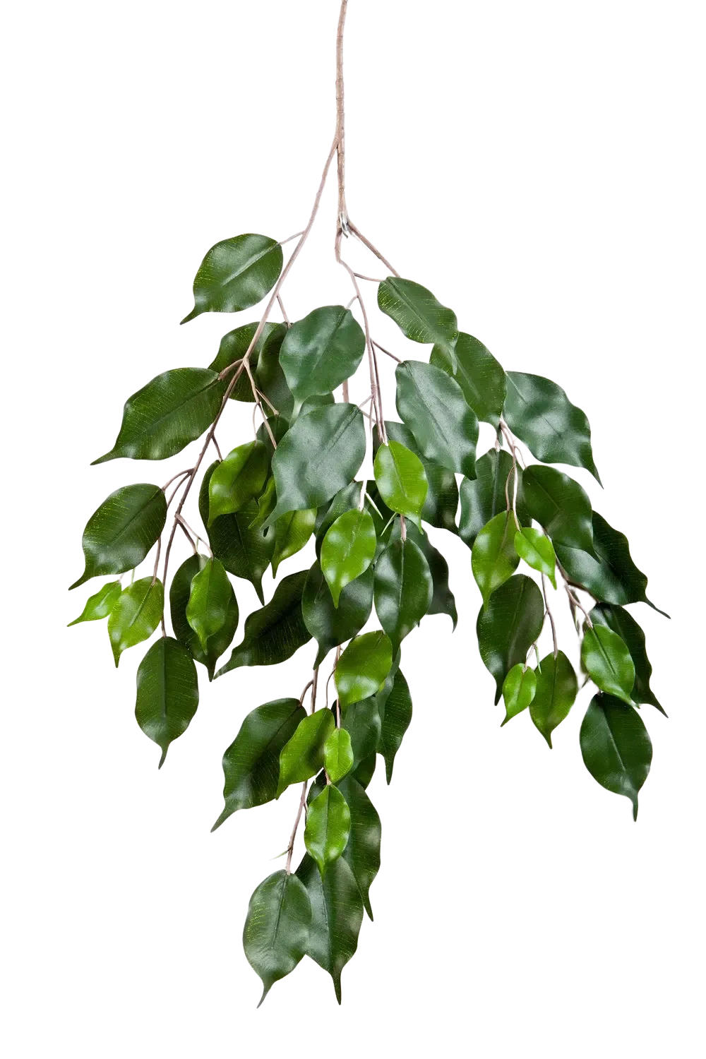 KUNSTPFLANZE Künstlicher Ficus-Zweig - Georgia - Grün, Kunststoff (1cm) - aplanta