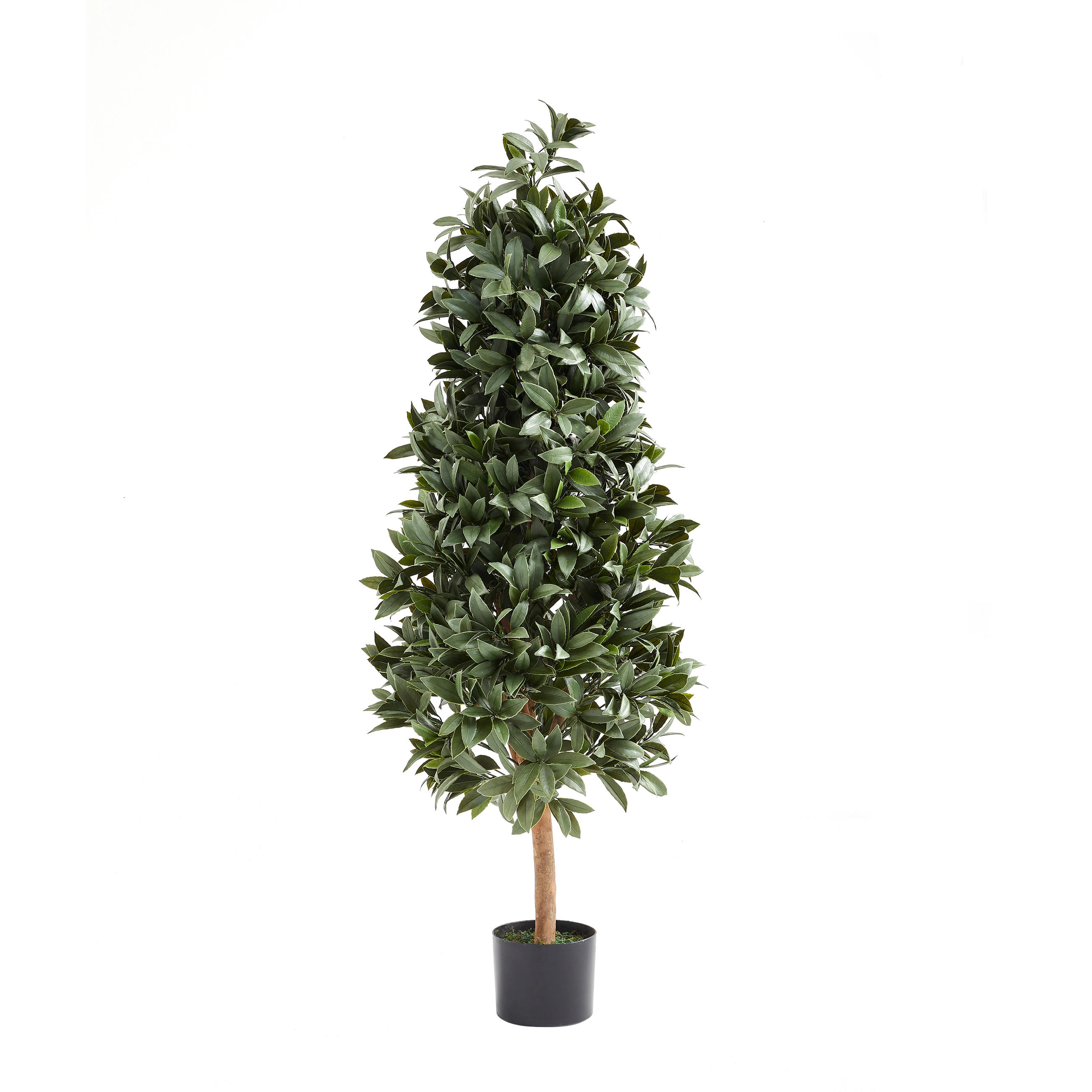 KUNSTBAUM Künstlicher Lorbeerbaum – Alarion 150 cm - Grün, Kunststoff (150cm) - aplanta