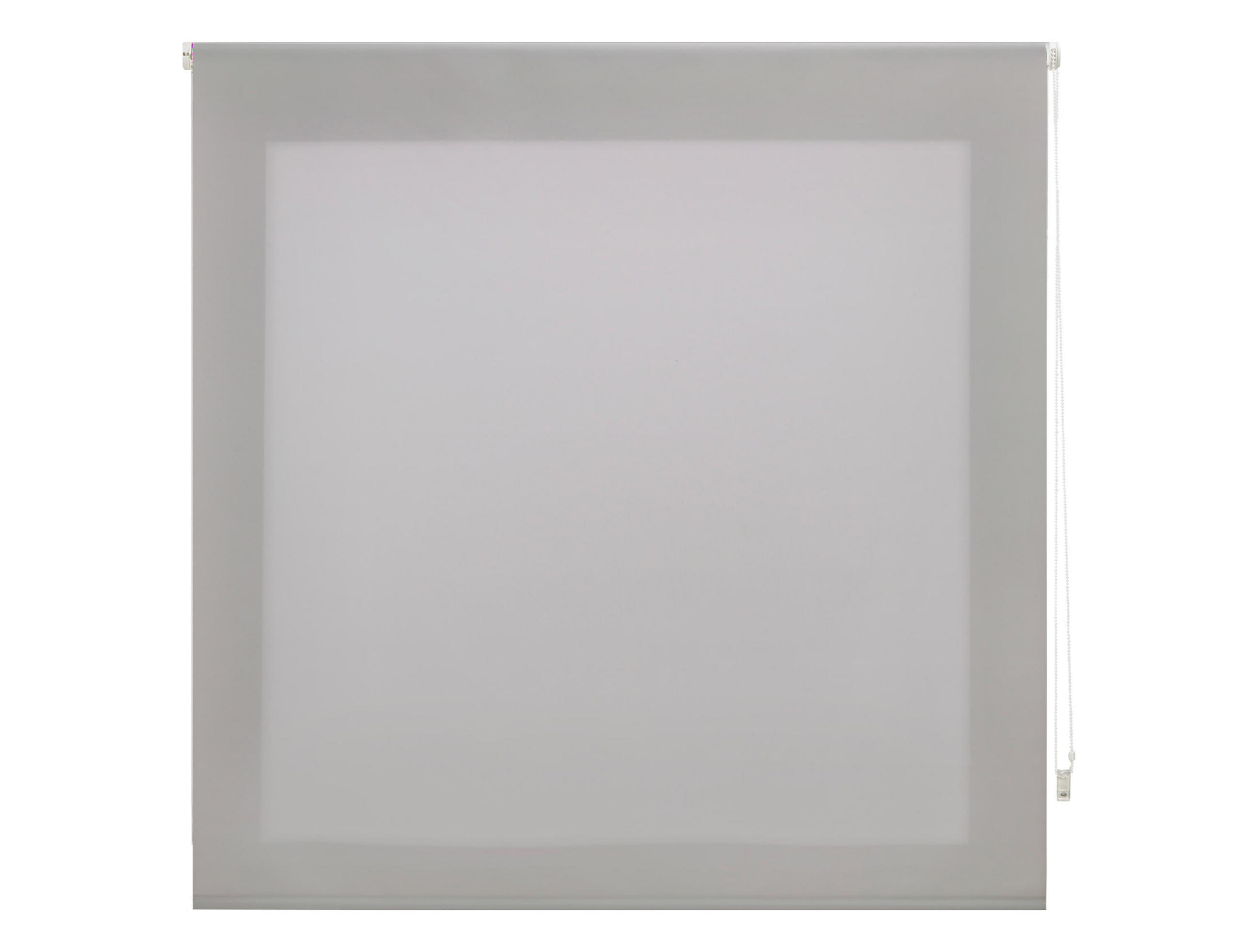 ROLLO Polyester Transluzent Silber 100x250 - Silberfarben, Textil (100/250/1cm) - Purline