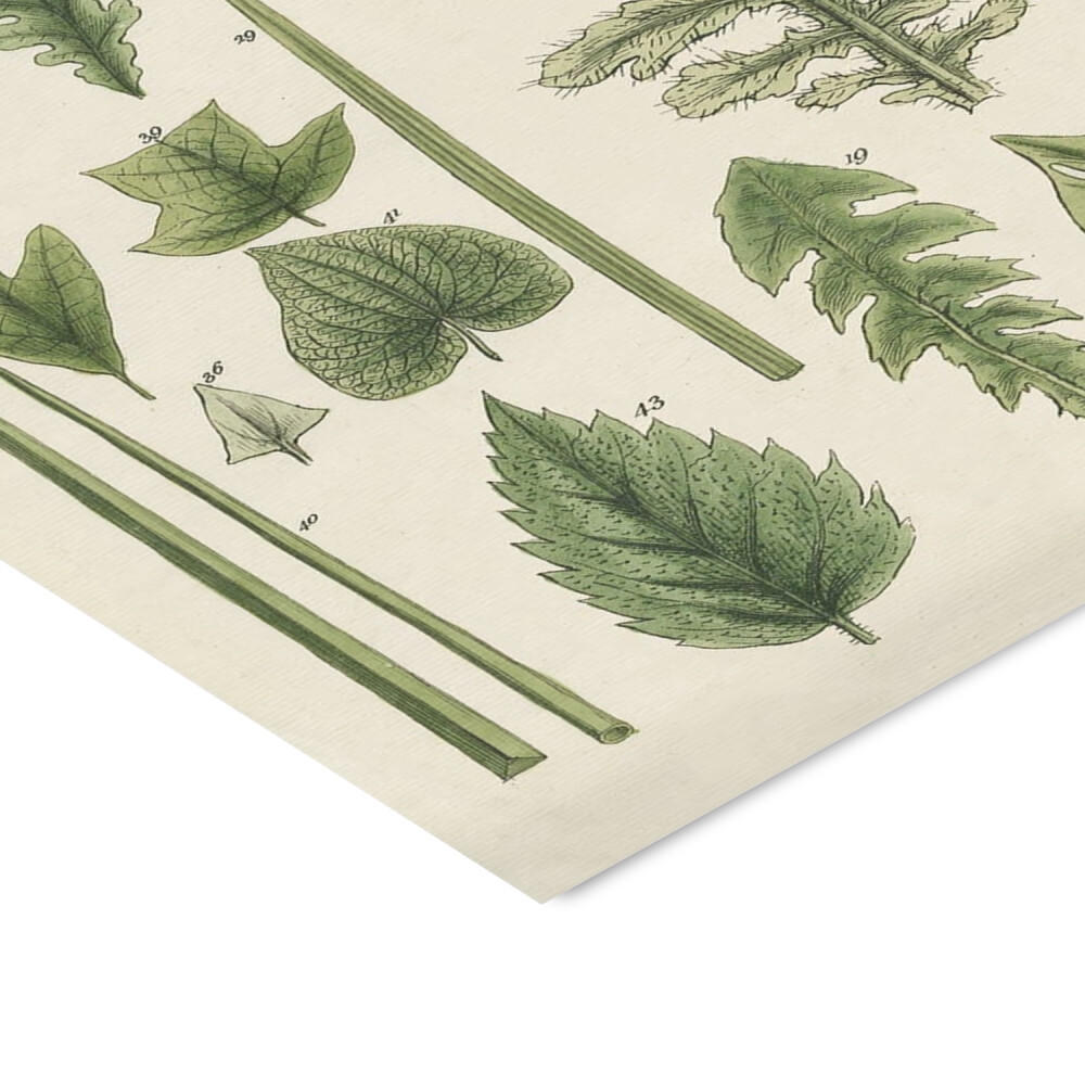 Thumbnail - Poster&Frame Poster, Grün, Papier, 70x100x0.1 cm, Bilder und Zubehör, Wandbilder, Sonstige Wandbilder