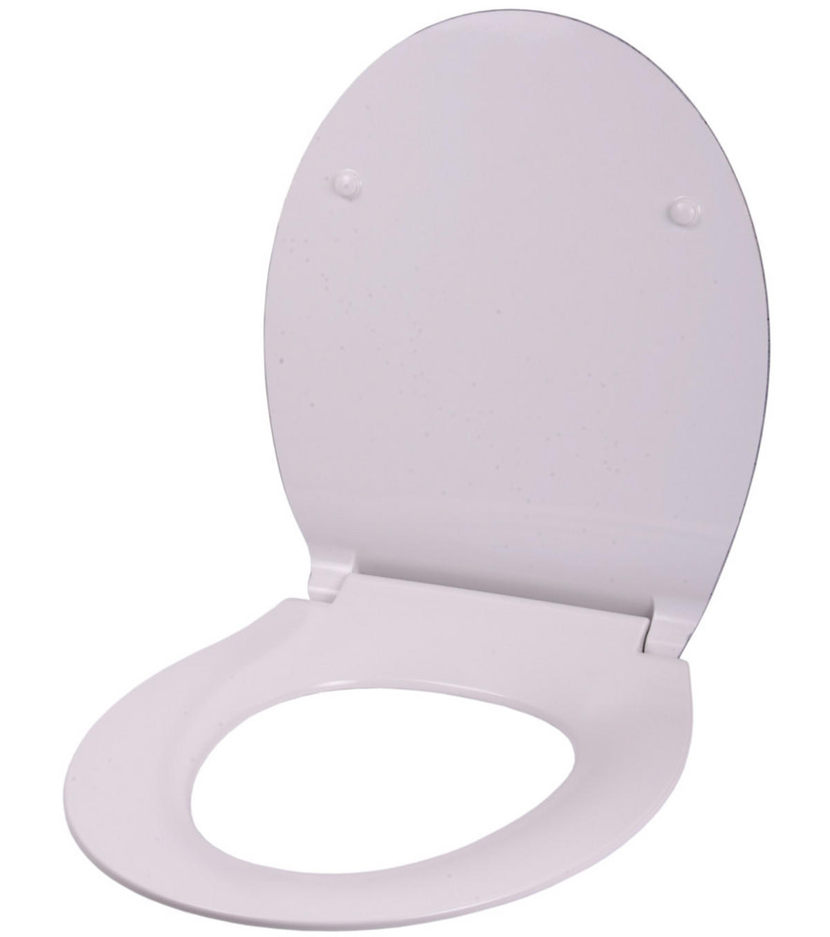 WC-SITZ mit Absenkautomatik Flat Bastia - Grau, Holzwerkstoff (38/6/47cm) - Sanilo
