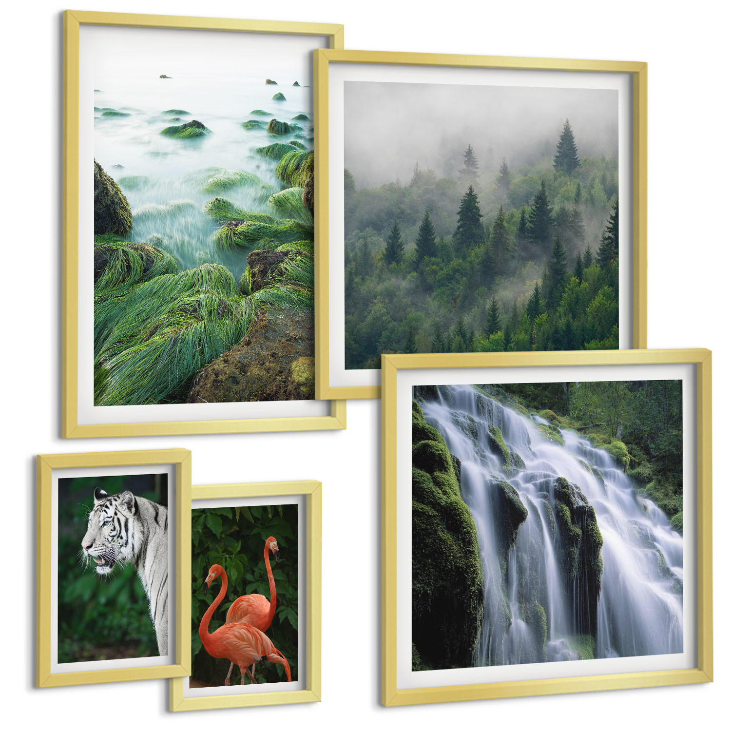 BILDER SET 5er Set - 50x50 cm & 20x30 cm & 40x60 cm Goldrahmen - Tiger Wasserfall Flamingos Natur - Goldfarben, Kunststoff (40/60cm) - TULUP
