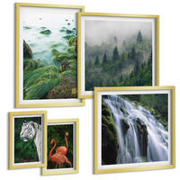 BILDER SET 5er Set - 50x50 cm & 20x30 cm & 40x60 cm Goldrahmen - Tiger Wasserfall Flamingos Natur - Goldfarben, Kunststoff (40/60cm) - TULUP
