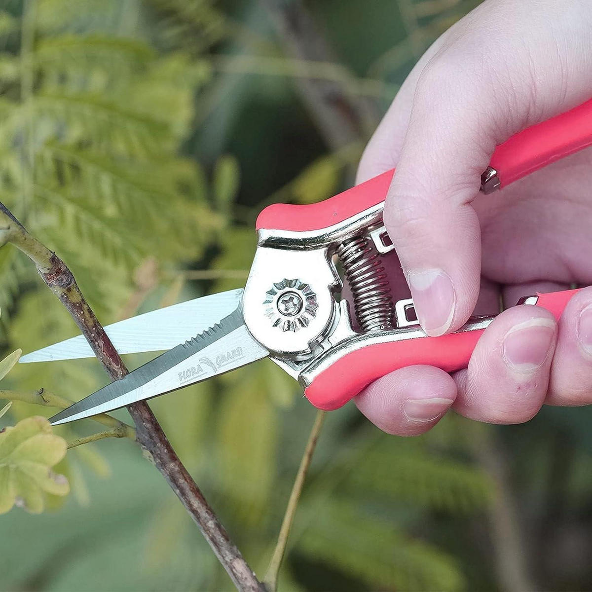 GARTENSCHERE 16,5 cm mit Soft-Touch-Griff Rot - Rot, Metall (6/1.5/16.5cm)