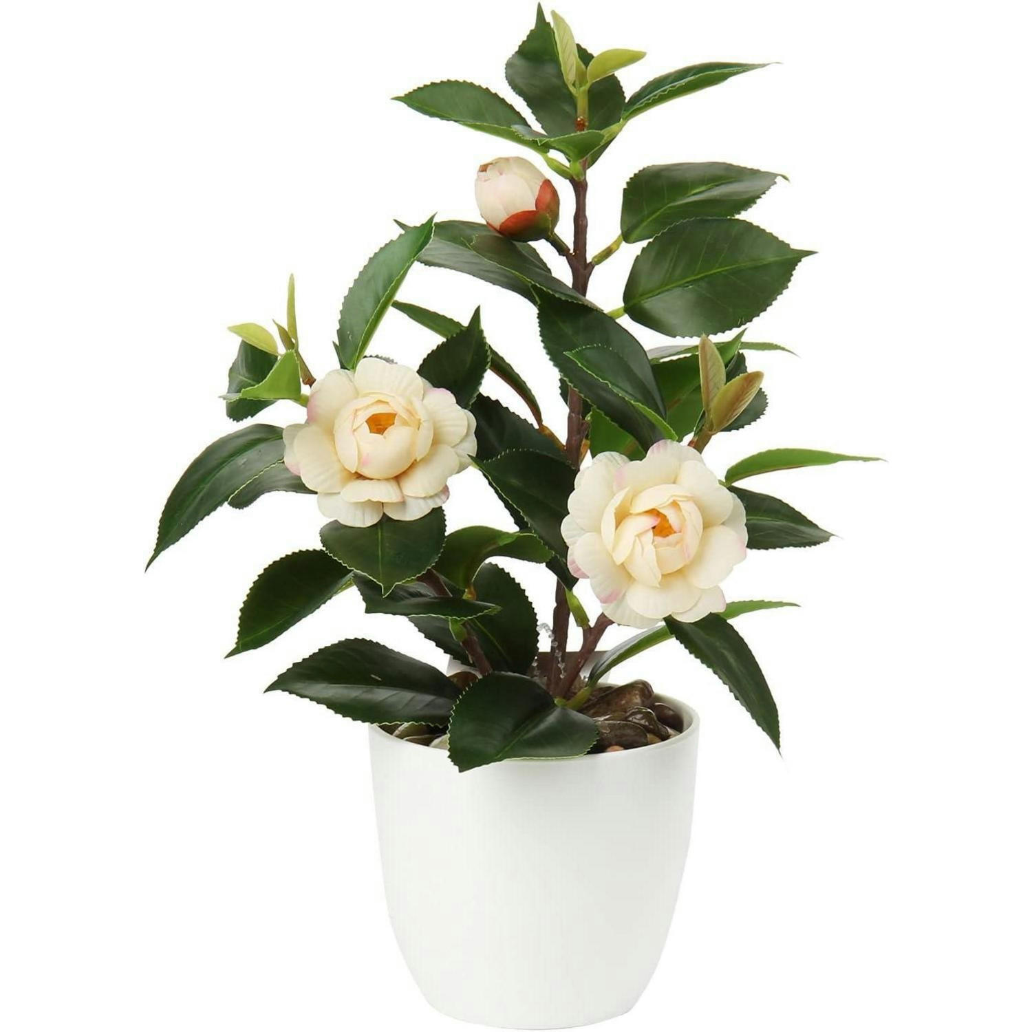 KUNSTPFLANZE Kamelie mit Blüten 28 cm - Multicolor, Kunststoff (28cm)