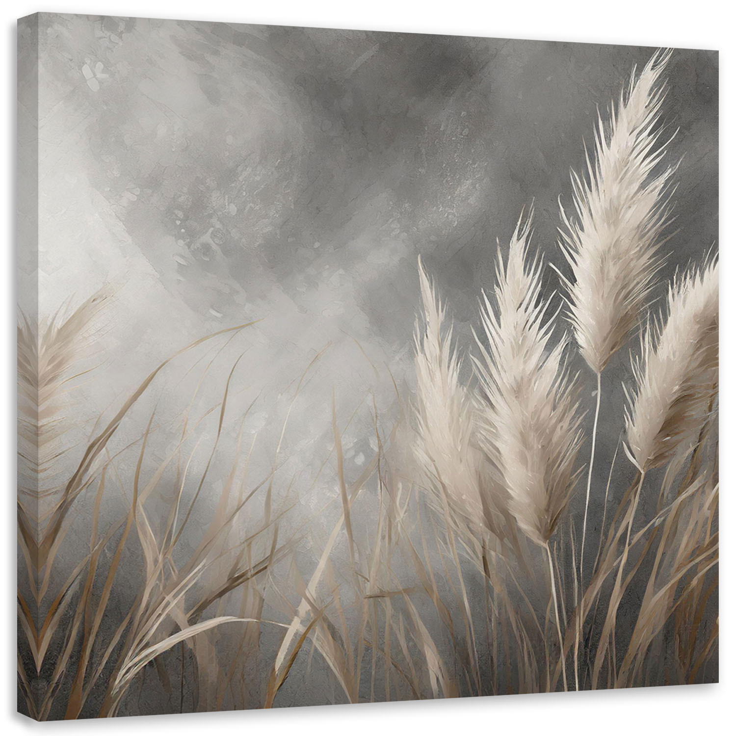 LEINWANDBILD Gras, Natur, Botanik 50x50cm - Grau, Textil (50/50cm) - Feeby