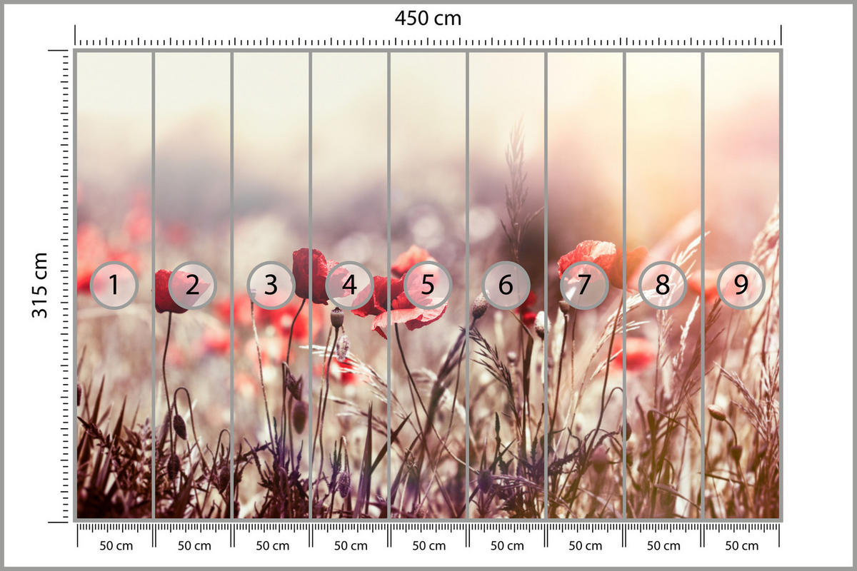 FOTOTAPETE für Esszimmer Feldblumen Rote Mohnwiese Sonne 450x315 - Rot/Orange, Papier (450/315cm) - Muralo