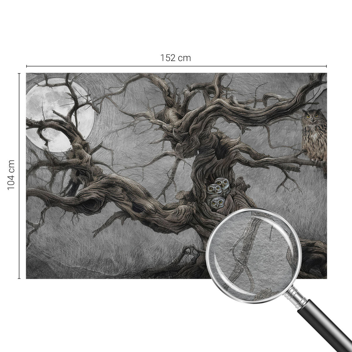 FOTOTAPETE 152x104 cm - Geheimnisvolle Eule - Grau, Textil (152/104cm) - Wallfluent
