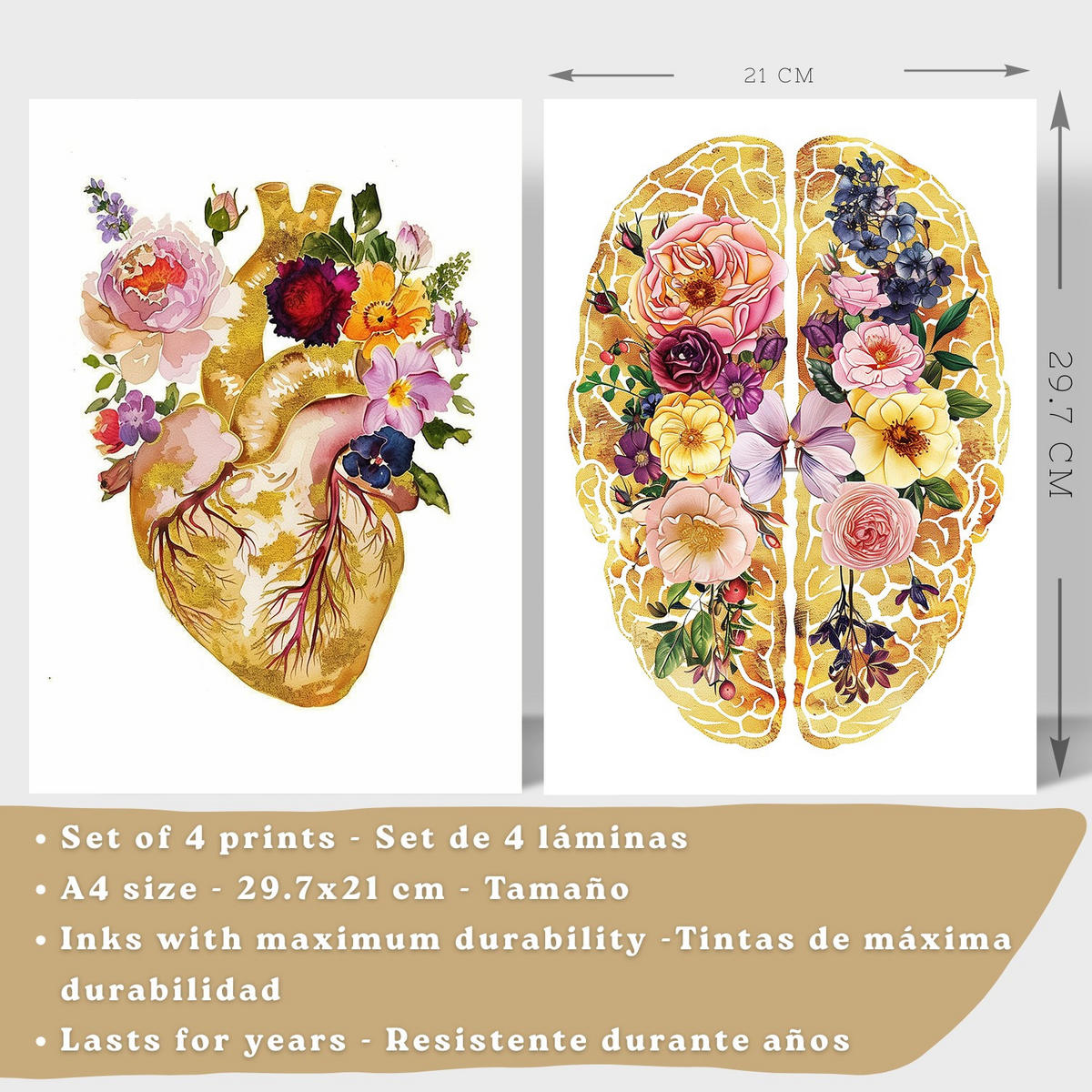 POSTER Set aus 4 Anatomie Mensch Drucke und mit Herz Gehirn Schädel Lungen Luftröhre Bronchien Goldener Floraler Stil Größe Weißer Rahmen A4 - Weiß, Papier (21/29.7/3cm) - Nacnic