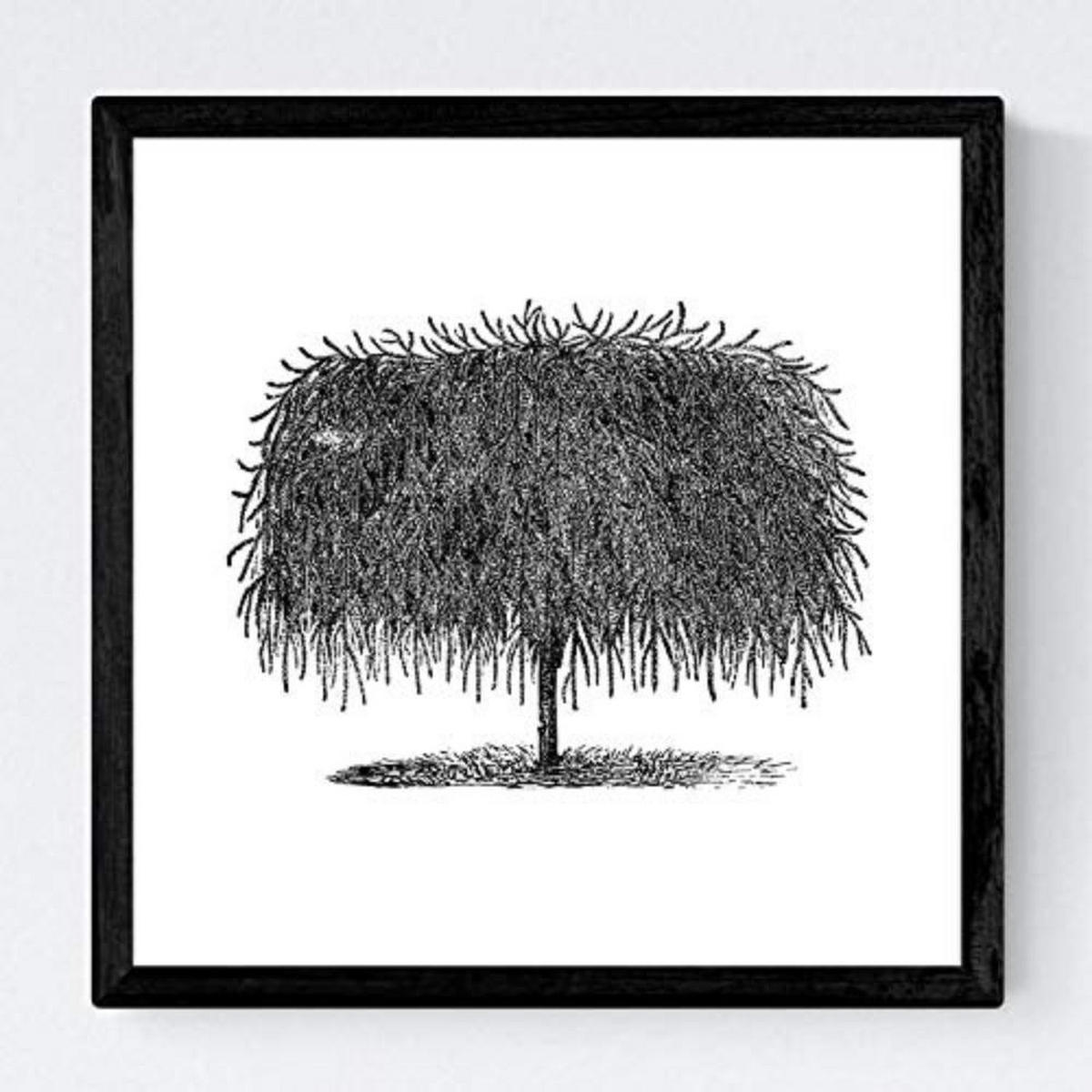 POSTER Set mit 4 Blättern der Bäume in weiß 20x20cm Schwarzer Rahmen - Schwarz, Papier (20/3cm) - Nacnic
