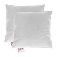FÜLLKISSEN 2er-Set – 40/40 cm, Gänsefedern & Daunen - Weiß, Textil (40/40cm) - Homescapes