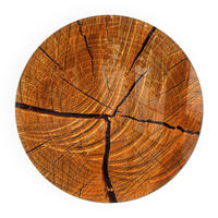 GLASPLATTE für Kamin Ø 50 cm - Orange, Glas (50/50/0.4cm) - TULUP