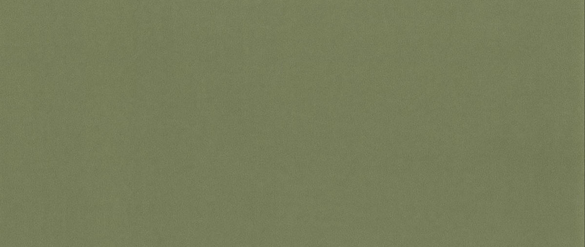BOXBETT Mit Bettkasten Und Matratze + Topper RUGIA Stoff Velvet Hellgrün 200x200 cm H3-Bonell - Schwarz/Hellgrün, Holz/Textil (200/200cm) - Kaiser Möbel