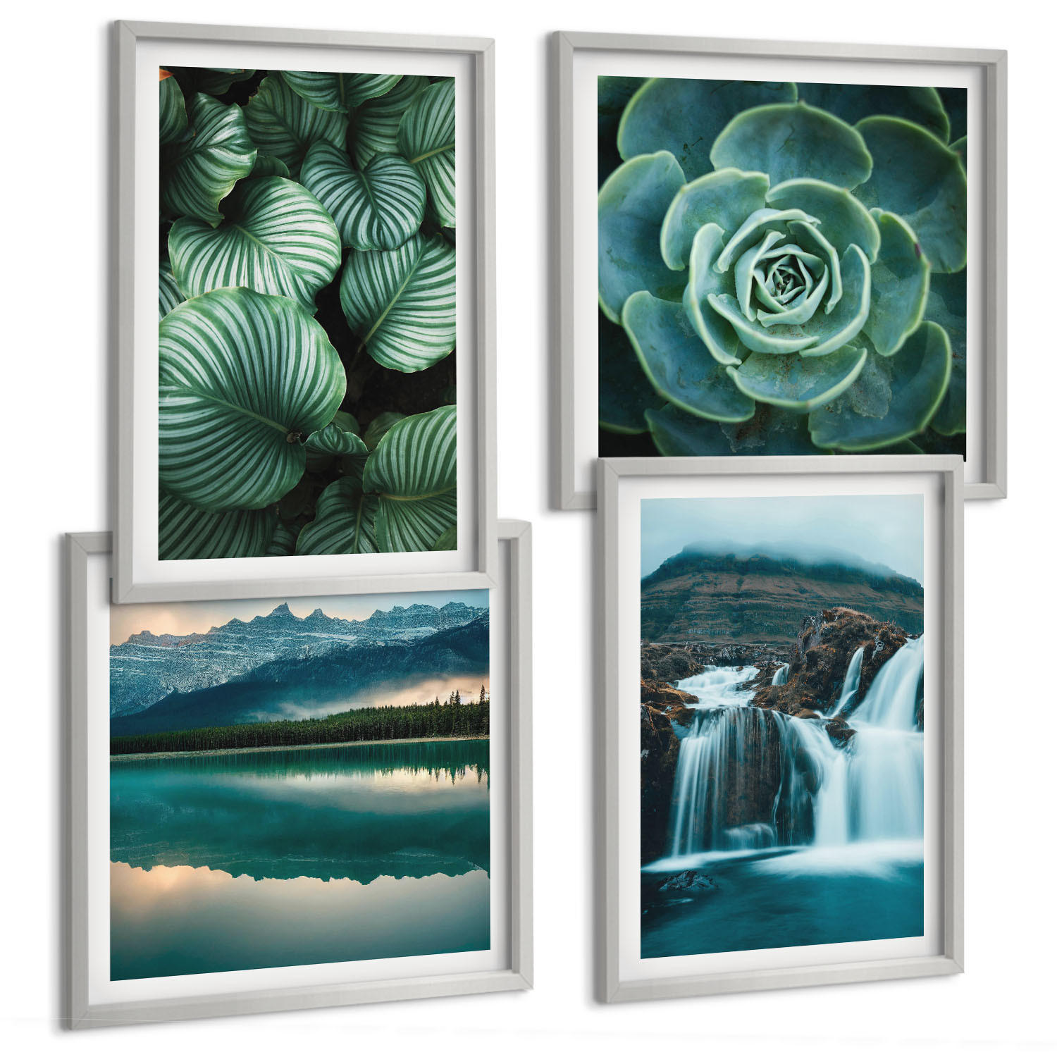 BILDER SET 4er Set - 50x50 cm & 40x60 cm Silberner Rahmen - Nahaufnahmen von Blättern sukkulenter Pflanzen - Silberfarben, Kunststoff (50/50cm) - TULUP