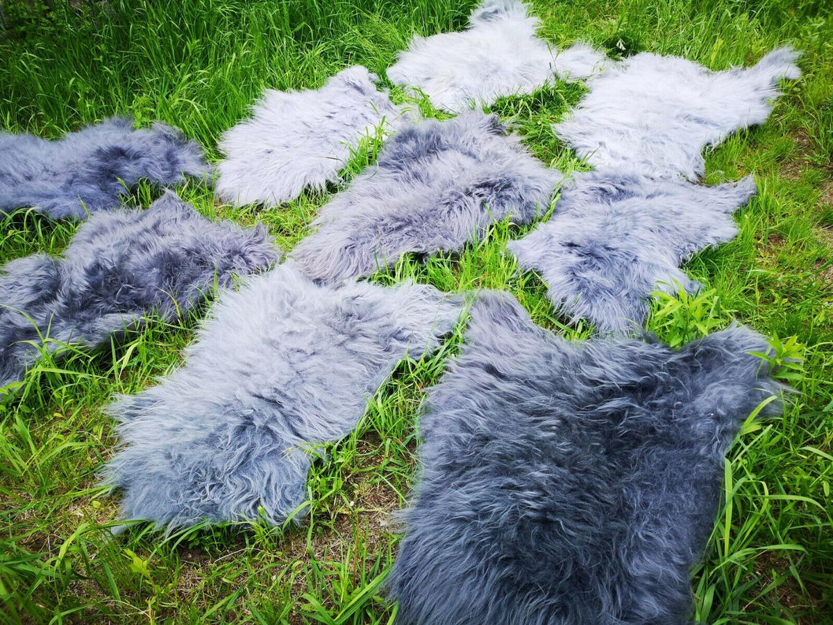 FELL Islandschaffell grau ca. 100 cm - Schwarz/Weiß, Fell (60/100cm) - Provellus