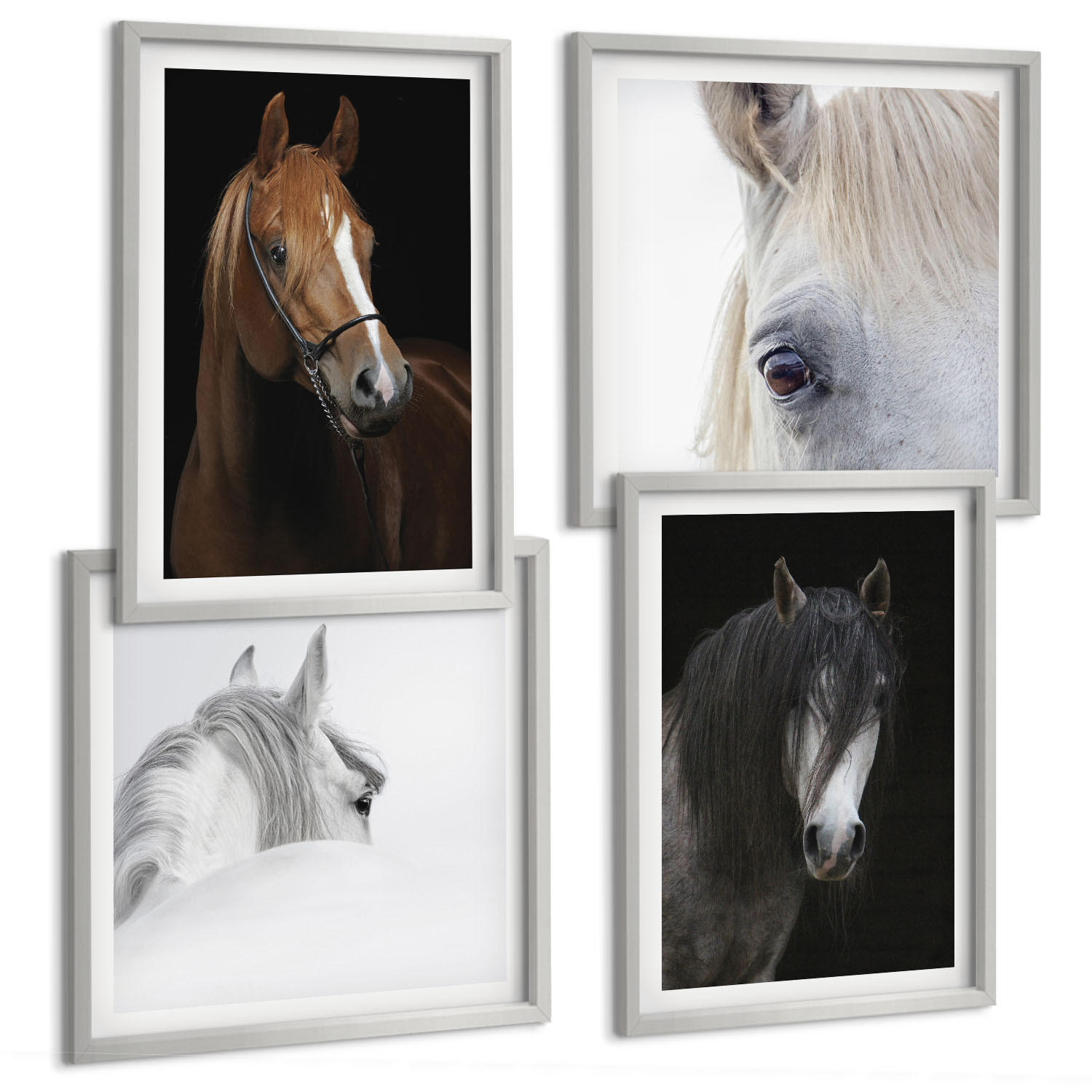BILDER SET 4er Set - 50x50 cm & 40x60 cm Silberner Rahmen - Pferdeporträts in Schattierungen - Silberfarben, Kunststoff (50/50cm) - TULUP
