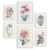 POSTER Set Mit 6 Rosen Größe A3 & A4 Weißer Rahmen - Weiß, Papier (29.7/1cm) - Nacnic